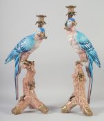 A GOOD LARGE PAIR OF BLUE PORCELAIN PARROT CANDLE STICKS on rustic bases. 21ins high.