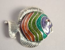 A SILVER ENAMEL ANGEL FISH BROOCH with ruby eyes.