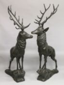 AN IMPRESSIVE PAIR OF NEAR LIFE SIZE BRONZE FIGURES OF STAGS standing on a rock. 6ft 8ins high.