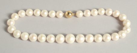 A VERY GOOD STRING OF 30 SOUTH SEA PEARLS with gold clasp.