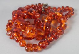 A GOOD SMALL AMBER GRADUATED BEAD NECKLACE. 80 beads, 22ins long. 36gms.