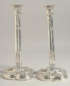 A PAIR OF GEORGE III CLUSTER COLUMN SILVER CANDLESTICK on loaded bases. 11ins high. London 1774.