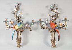 A VERY GOOD PAIR OF PORCELAIN AND GILT METAL BIRD WALL SCONCES with two branches and flower heads.