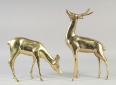 A PAIR OF MODERN ART BRASS DEER. 14ins x 8ins