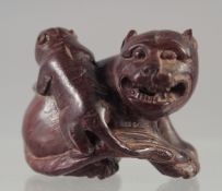A CARVED WOOD NETSUKE, DOG OF FOU. 1.5ins, signed.