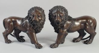 A GOOD PAIR OF BRONZE STANDING LIONS. 12ins long.