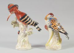 A PAIR OF CONTINENTAL PORCELAIN BIRDS. 9.5ins x 7.5ins high.