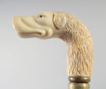 A WALKING STICK with carved bone dog handle.