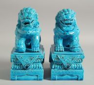 A PAIR OF CHINESE TURQUOISE GLAZE PORCELAIN TEMPLE LION FIGURES, each with impressed mark to the