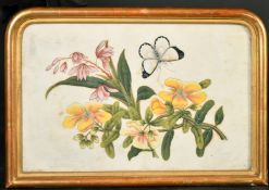 A PAIR OF CHINESE PITH PAINTING OF FLORA AND BUTTERFLIES, framed and glazed, image 18cm x 28cm.
