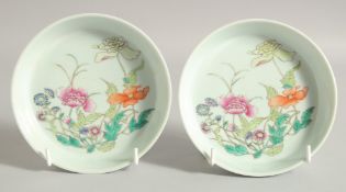A PAIR OF CHINESE FAMILLE ROSE PORCELAIN DISHES, with floral decoration, each 14.5cm diameter.