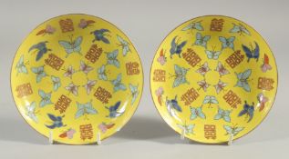 A PAIR OF CHINESE YELLOW GROUND PORCELAIN BUTTERFLY DISHES, each with four-character mark to base,