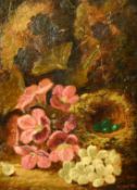 Oliver Clare (1853-1927) British, A still life of a bird nest with eggs and pink and white
