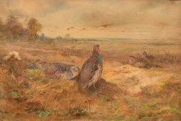 James Stinton (1870-1961) British, Partridge in an open landscape, watercolour, signed, 6.5