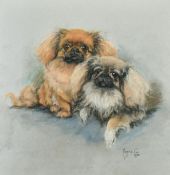 Marjorie Cox (1915-2003) British, a portrait study of two Pekingese, pastel, signed and dated