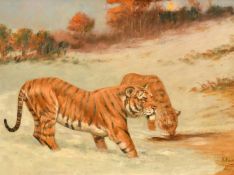 George Paice (1854-1925) British, two tigers in snow, oil on canvas, signed, 14