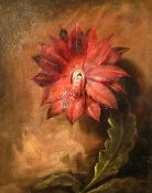 19th Century, a study of a flower, oil on copper, 12.5