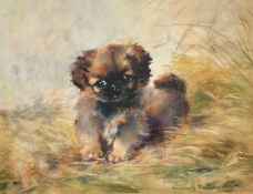 Lucy Marguerite Frobisher (19th/20th Century), 'Impudence', a study of a small dog, watercolour,