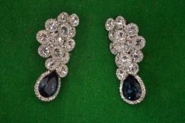 Decorative ear clips.