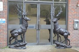 A good pair of near life size bronze stags.