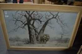 David Shephard, a colour print of a bull elephant.