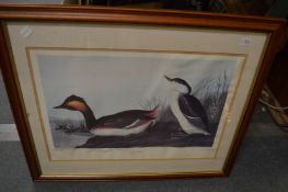 A colour print of birds and a picture on an Egyptian dog.