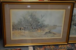 David Shepherd, Greater Kudu, pencil signed colour print.