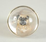 A SILVER ESSEX STYLE CRYSTAL PUG DOG RING.