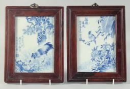 A PAIR OF REPUBLIC PERIOD BLUE AND WHITE PORCELAIN PLAQUES, with birds and flora, each inset with