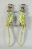 A GOOD PAIR OF PORCELAIN PARAKEET WALL SCONCES with metal candle holders. 1ft 6ins high.