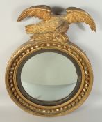 A REGENCY GILTWOOD CIRCULAR CONVEX MIRROR with eagle surmount. 1ft 9ins diameter.
