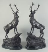 AFTER JULES MOIGNIEZ. A GOOD PAIR OF BRONZE STANDING STAGS on a marble base Signed, 27ins high.