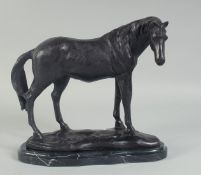 A BRONZE STANDING HORSE on a shaped marble base. 10ins high.