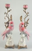A GOOD PAIR OF PINK PORCELAIN PARAKEET CANDLESTICKS, on tree stumps with gilt metal candlestick