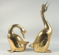 A PAIR OF BRASS DUCKS. 22ins & 12ins long.