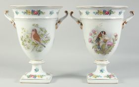 A PAIR OF WHITE GROUND PORCELAIN TWO HANDLED VASES painted with birds and flowers. 1ft 6ins high.