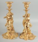 A GOOD PAIR OF GILT BRONZE CANDLESTICKS a cupid on a sea horse and young lady on a dolphin.