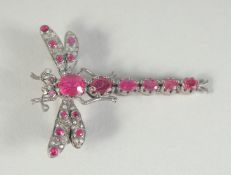 A GOLD BACKED SILVER SET, RUBY AND DIAMOND DACHSHUND BROOCH.