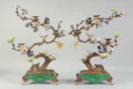 A GOOD PAIR OF BRONZE AND PORCELAIN TREES with scrolling branches, porcelain flower heads and six