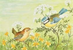 Ella Bruce (20th Century) A Wren and Tit on flowers, watercolour, signed in pencil, 6.75