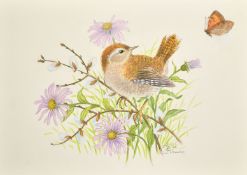 Ella Bruce (20th Century) A Wren with a butterfly, watercolour, signed in pencil, 6.25
