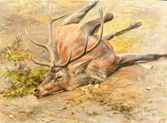 Wilhelm (Willi) Lorenz (1901-1981) German, A dead stag, oil on canvas, signed and dated, 23.5