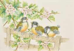 Ella Bruce (20th Century) Three baby tits with pink blossom, watercolour, signed in pencil, 7