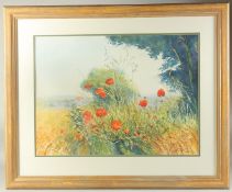 Graham Painter (b. 1947) British, wild poppies in a field, watercolour, signed, 18.5