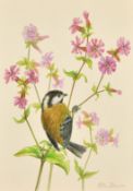 Ella Bruce (20th Century) Coal tit on wildflowers, watercolour, signed in pencil, 9.75