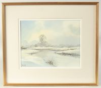 Peter Toms (b. 1940) British, 'Ice on the Pond', watercolour, signed, 8.5