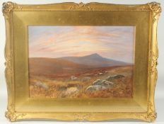 W.H. Dier, 'Dartmoor', a view of sheep grazing with a pink and yellow sunset, watercolour, inscribed
