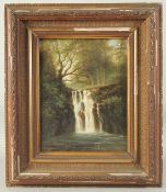 W.W. Gill, A forest waterfall, oil on canvas board, signed, 12