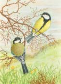 Ella Bruce (20th Century, Great Tits on a branch, watercolour, signed, 10