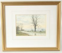 Dennis Rothwell Bailey (b. 1933) British, 'Reflections After Rain', watercolour, signed, 4.75